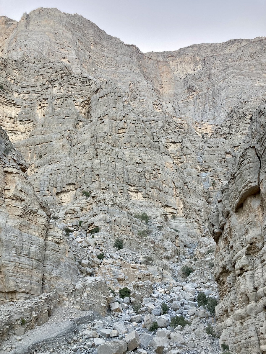 Wadi Litibah Junction (Left Bank & Right Bank)