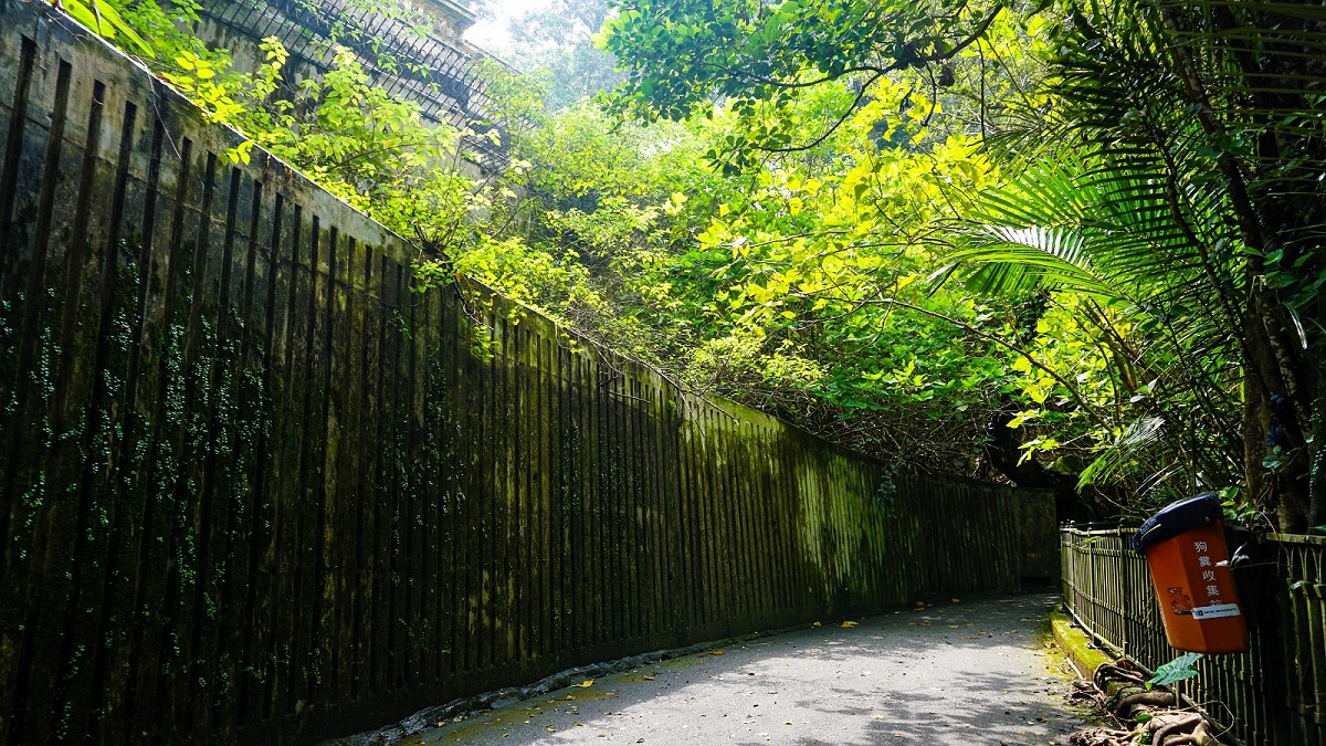 Hong Kong Trail Section 1