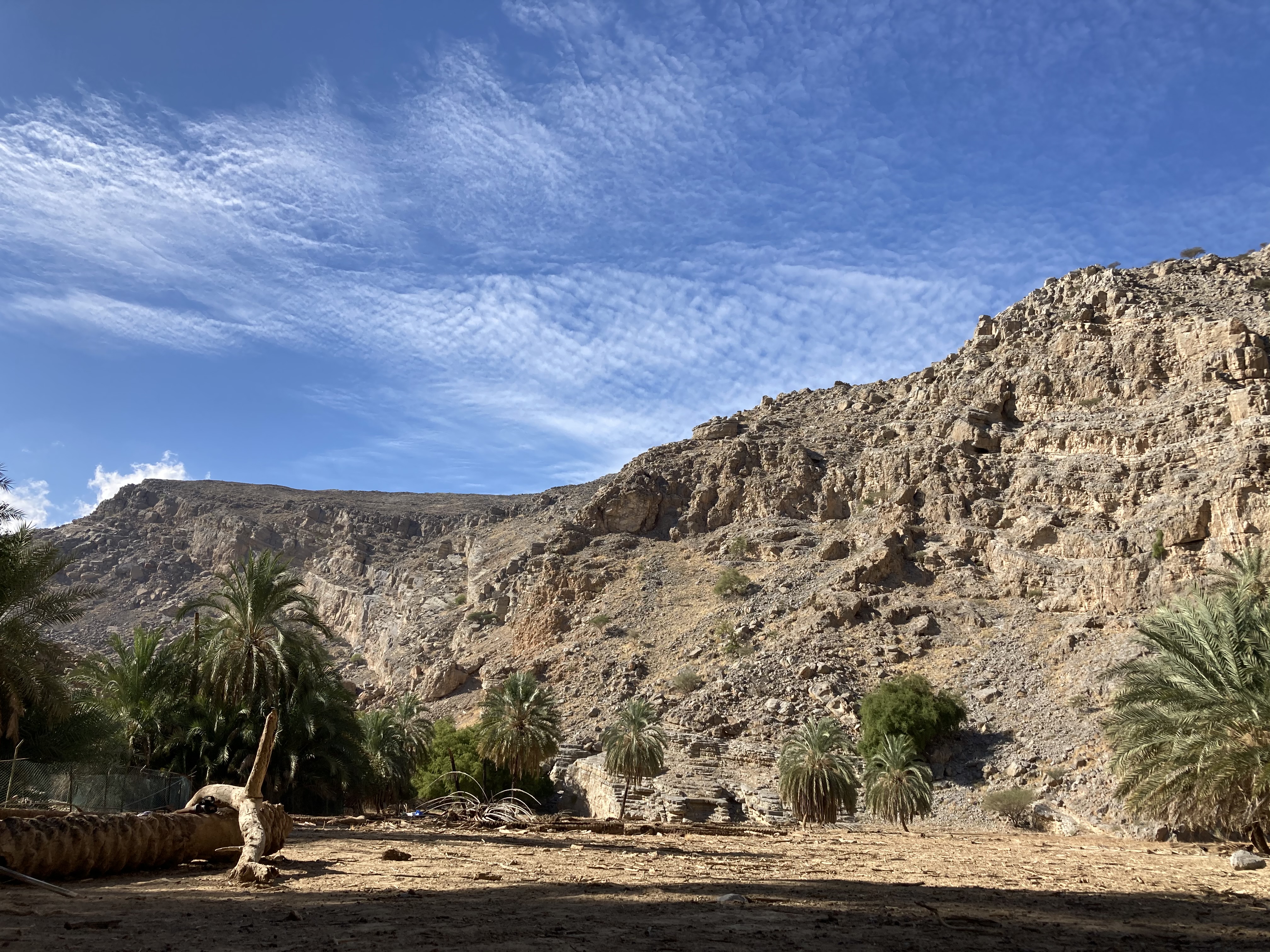 Hidden Oasis Ground View