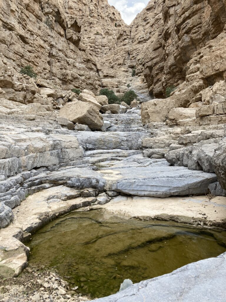 Wadi Pool in Wadi Al Far