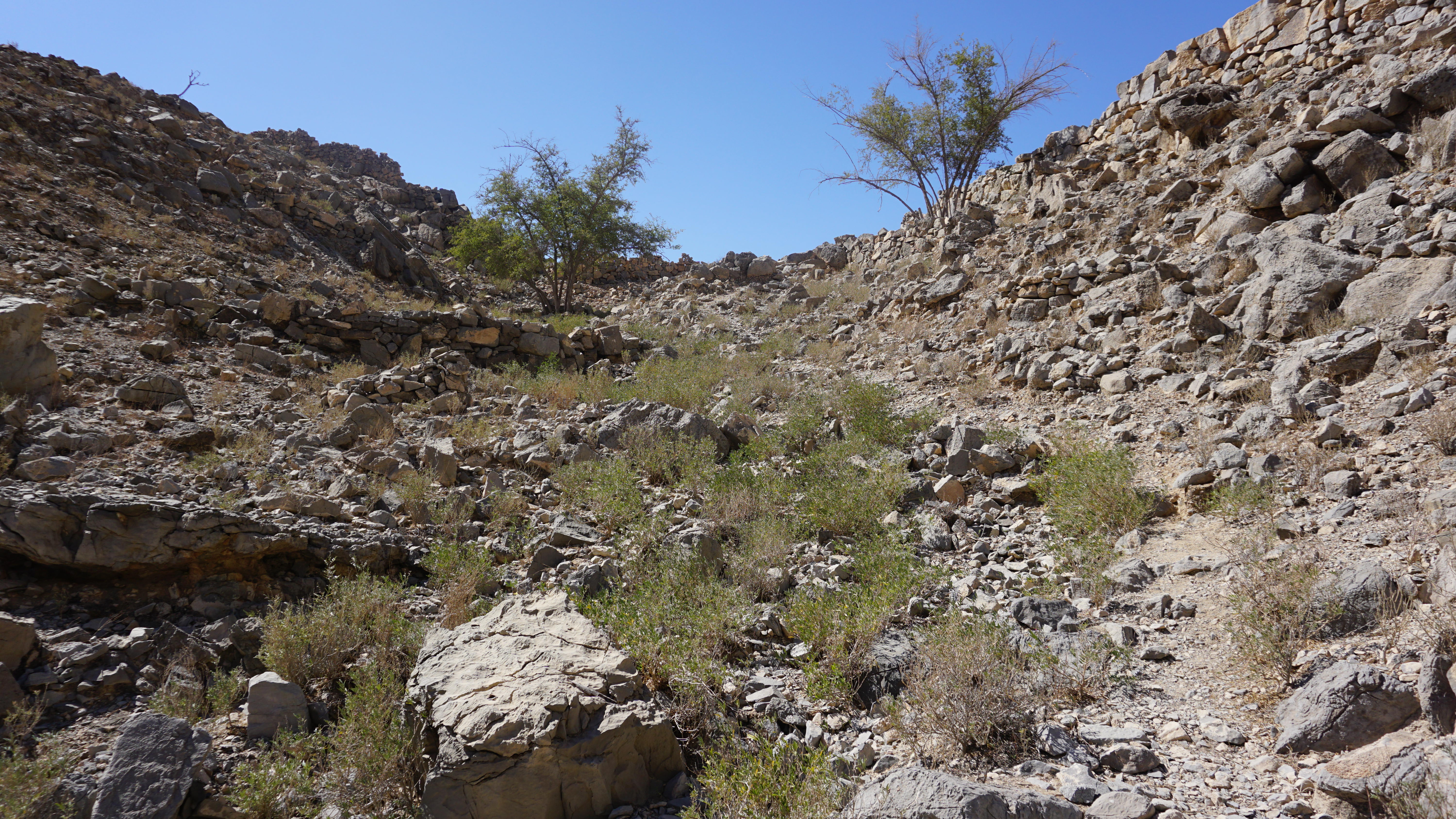 Trail before the Plateau