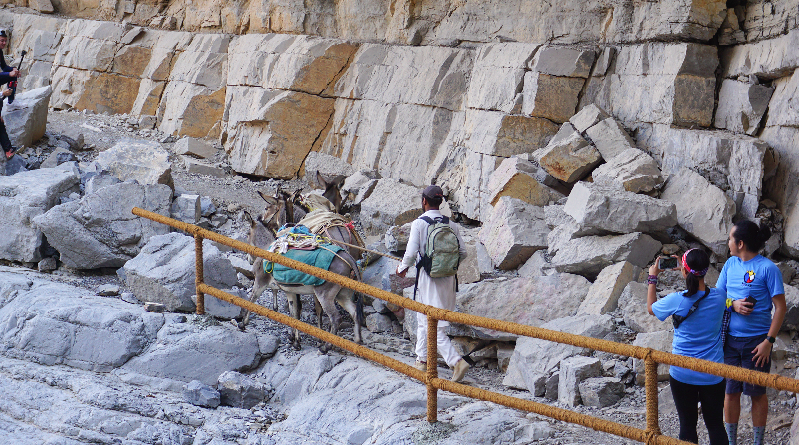 Donkeys and the Herder