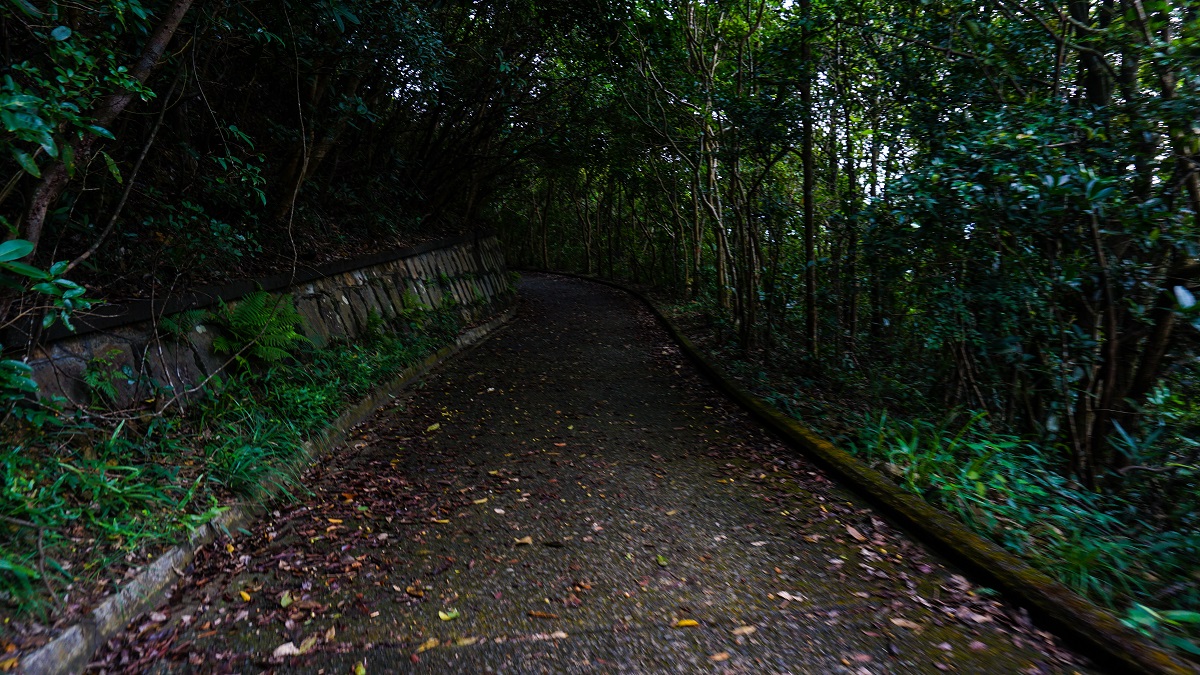 Paved Road in Hong Kong Trail Section 2