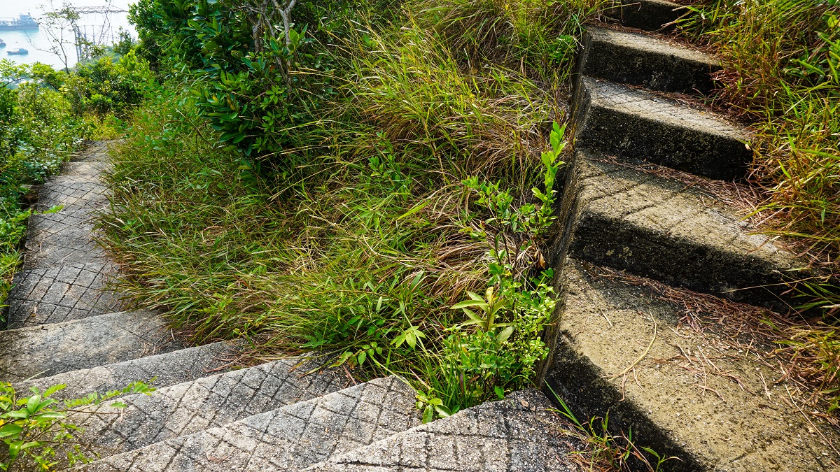 Stairs in Hong Kong Trail Section 2