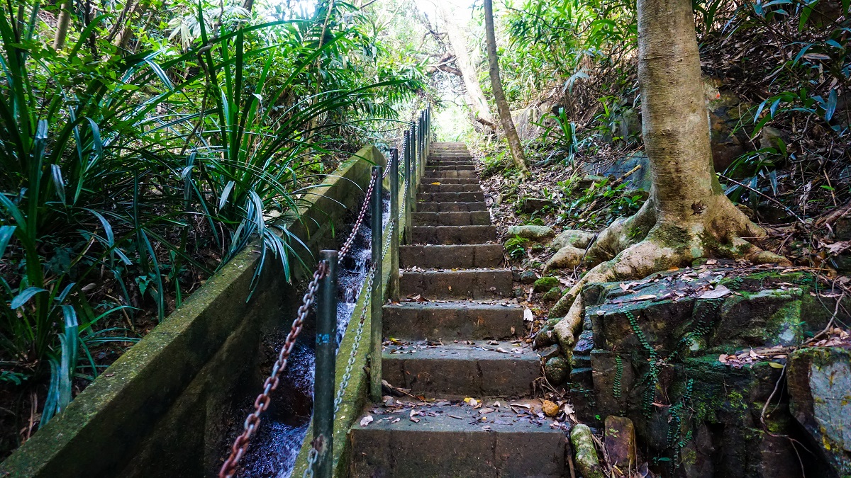 Hong Kong Trail Section 3 Stairs to Guildford Road