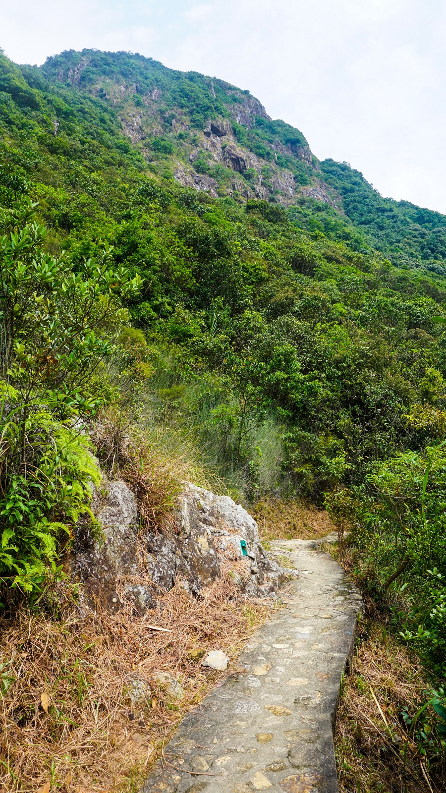 Paved trail in Hong Kong