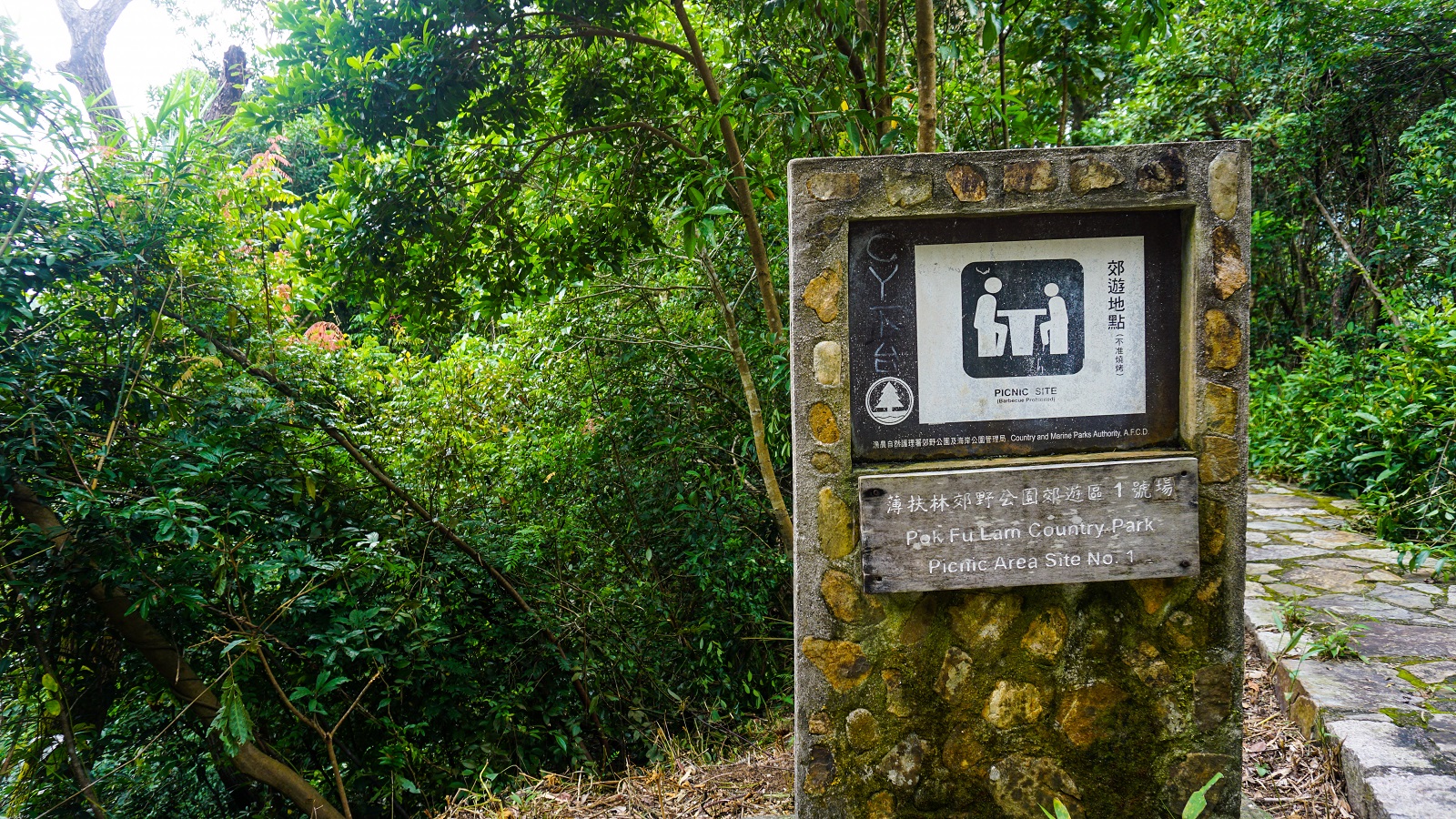Picnic Area in Hong Kong Trail Section 1