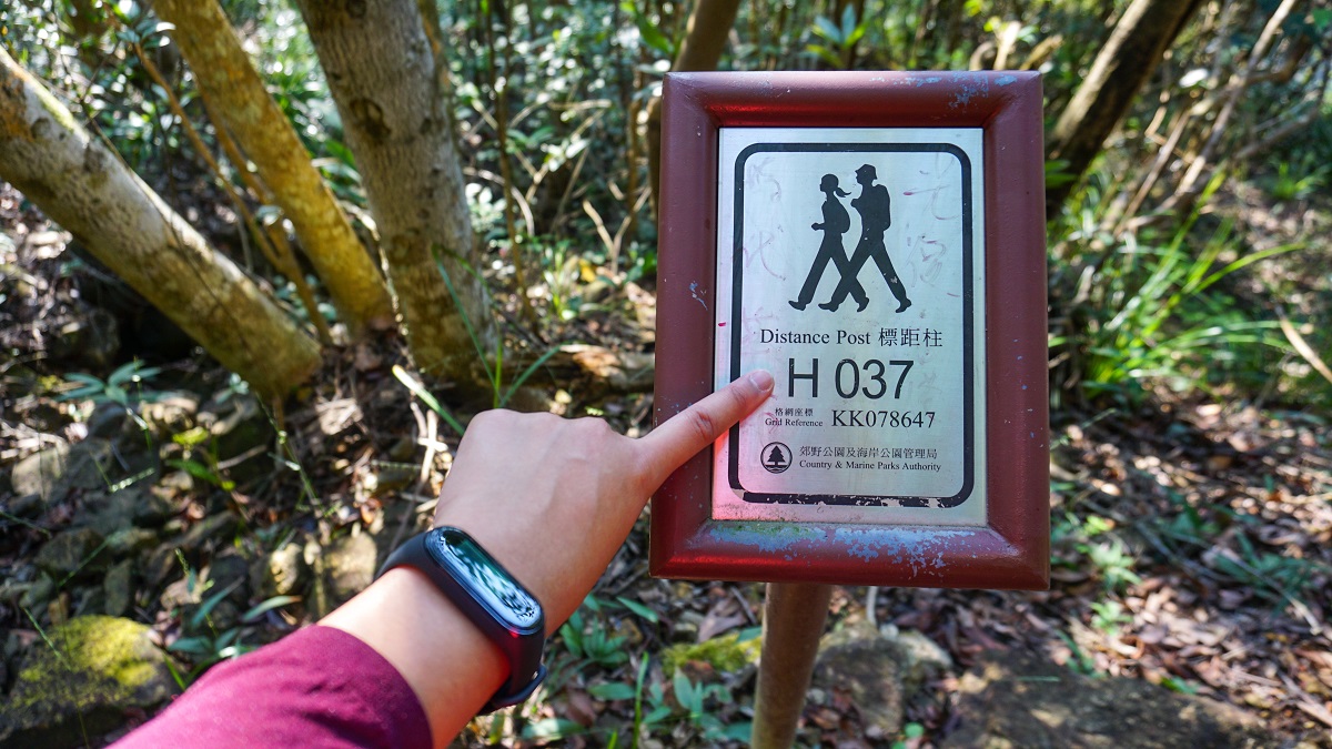 Distance Post 37 of Hong Kong Trail Section 3