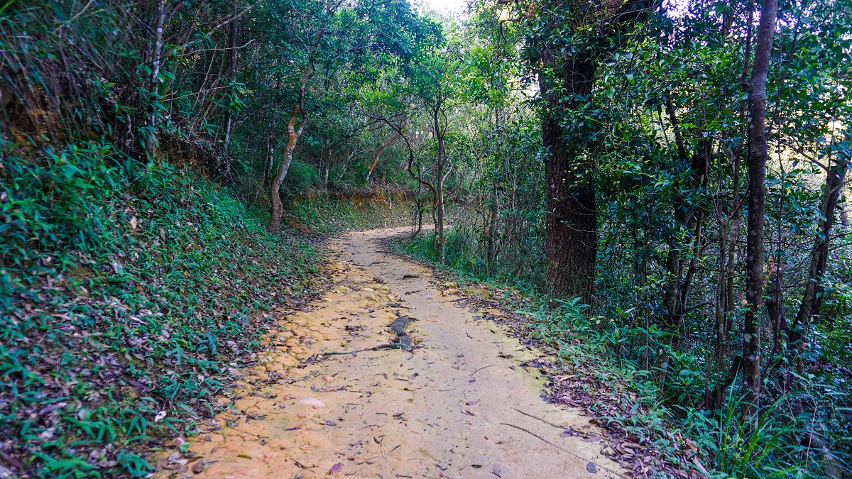 Dirt trail in Hong Kong Trail