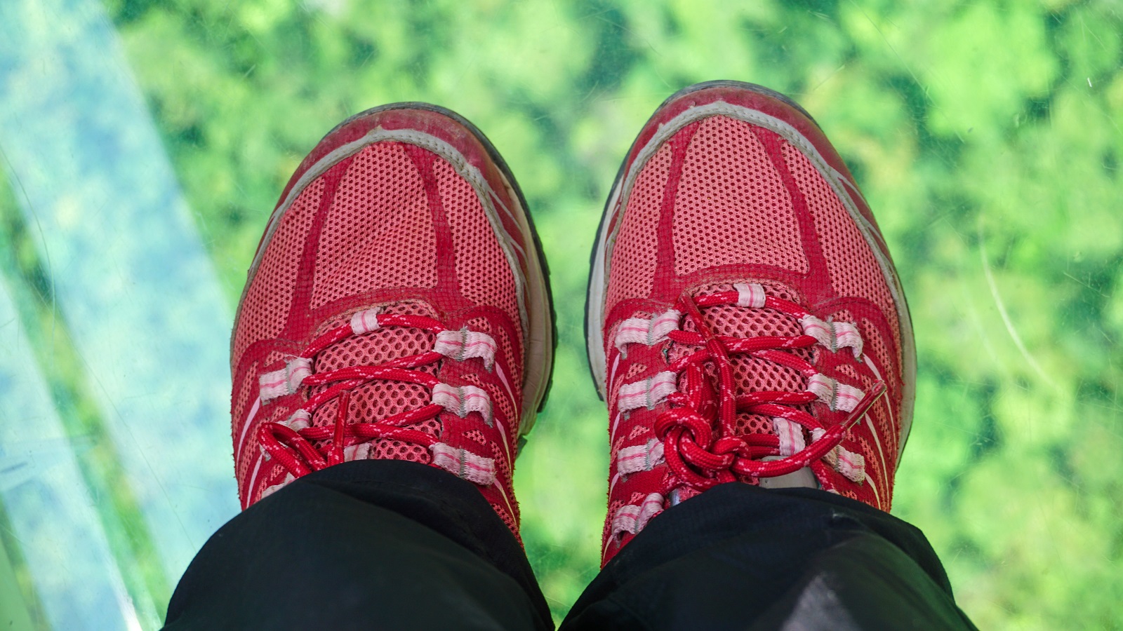 Glass-Bottom Crystal Cabin of Ngong Ping 360
