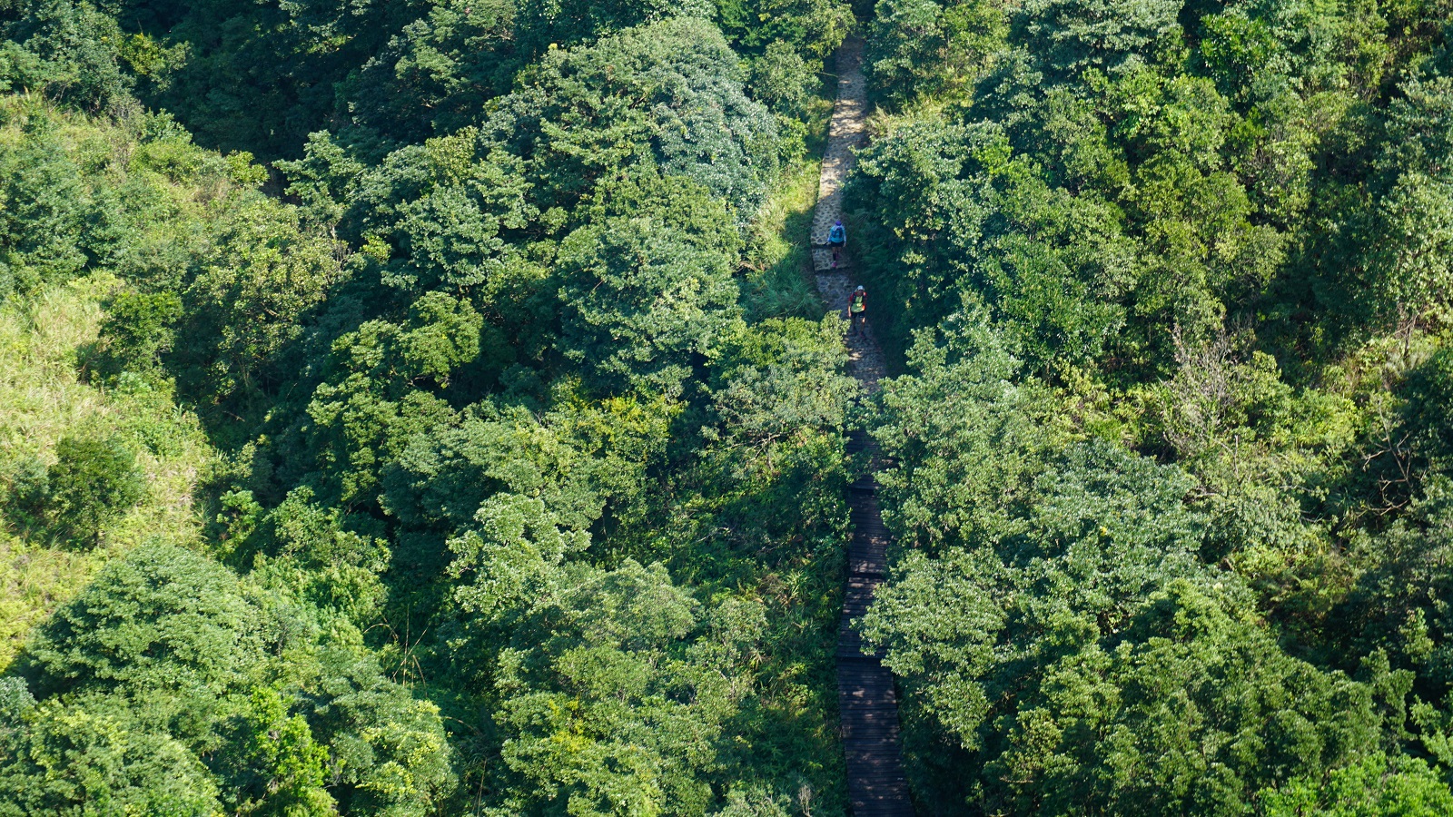 Hiking trails in Lantau Island