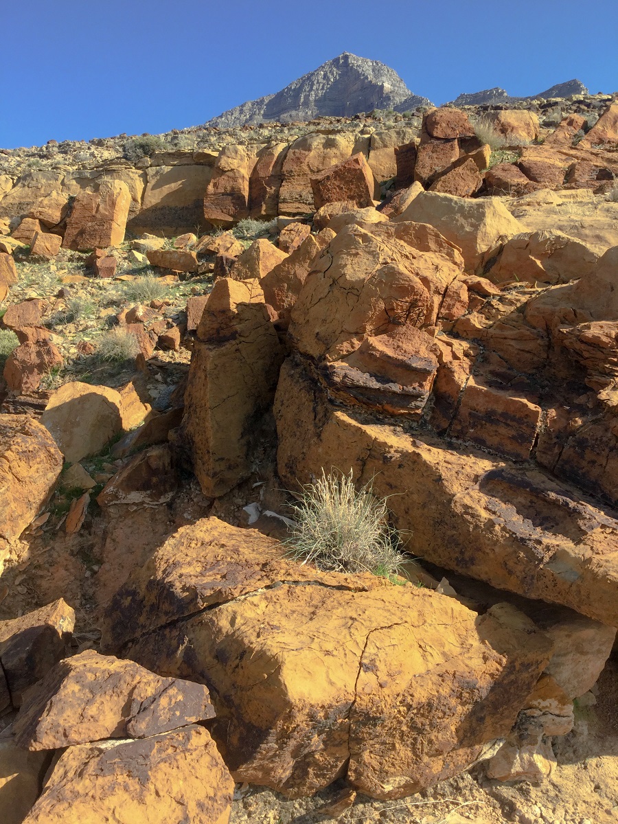 Copper-colored rocks