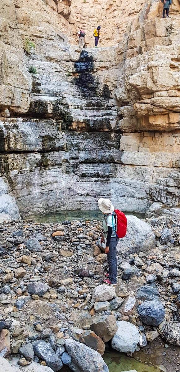 Stairs and Pools in the Wadi