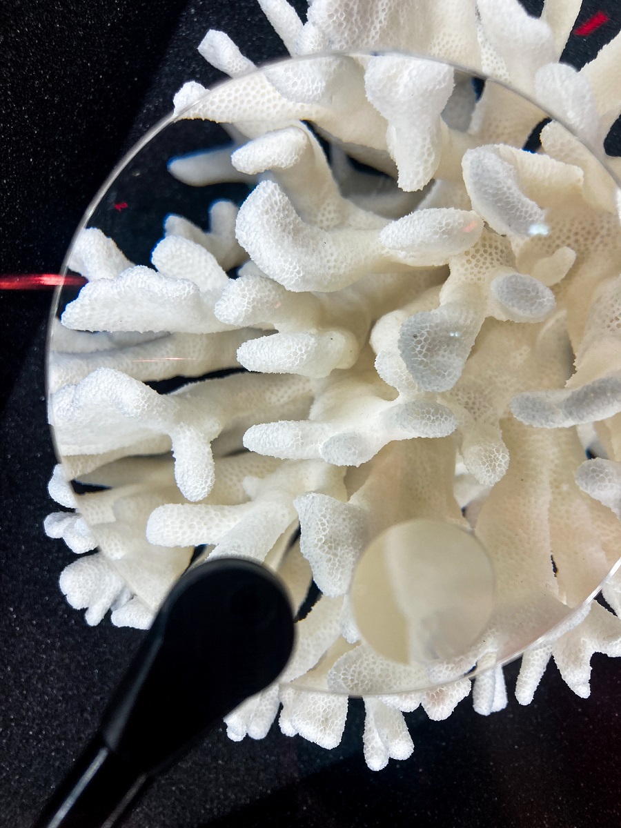 Monaco Pavilion - Coral Reef Replica