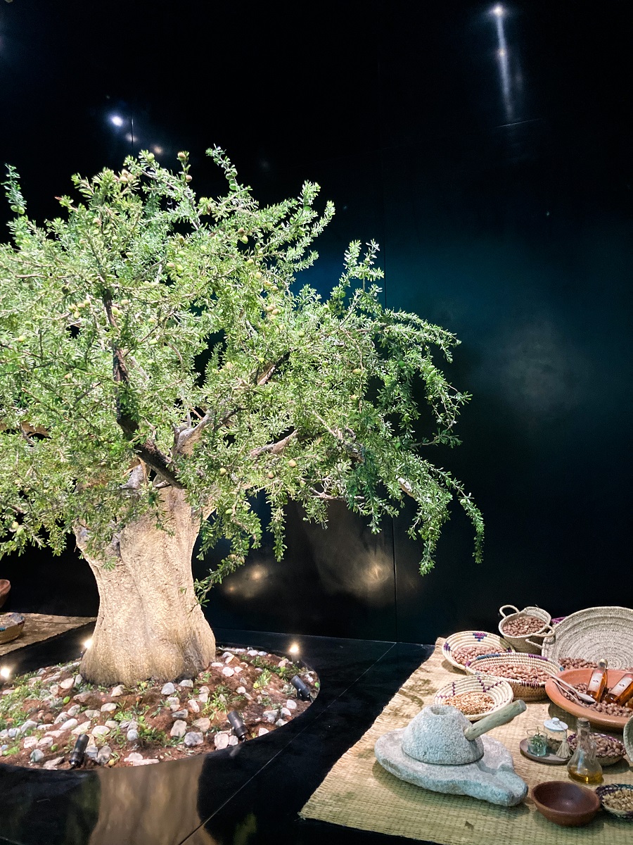 Argan Tree Replica