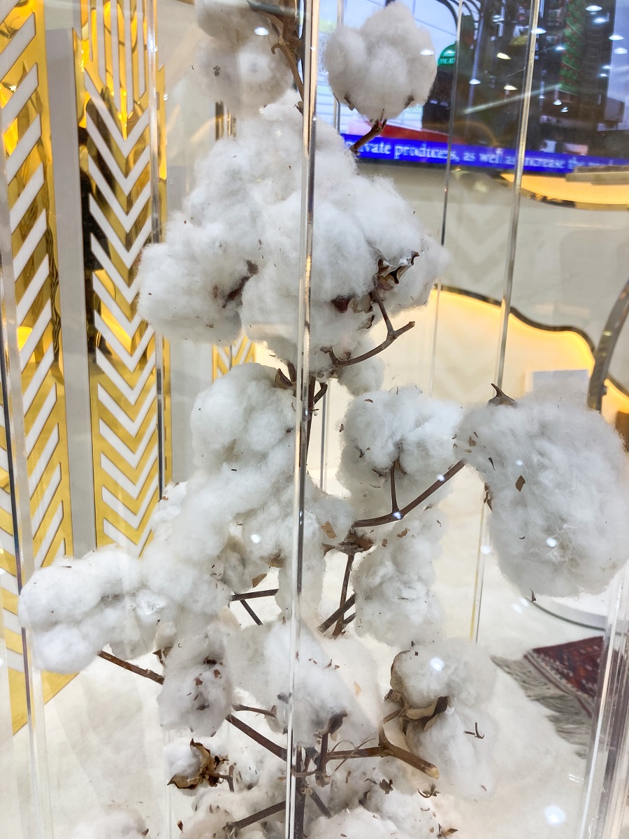 Turkmenistan Pavilion - Cotton