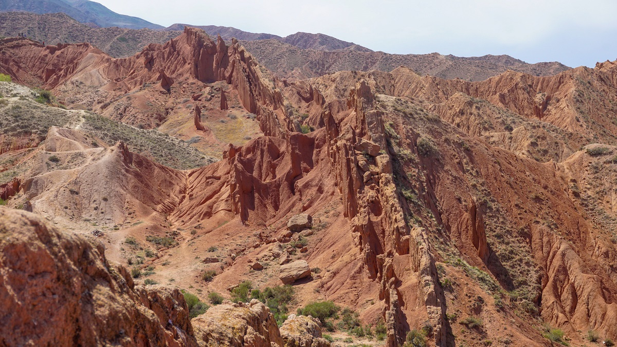 Wall-like Structure of the Canyon