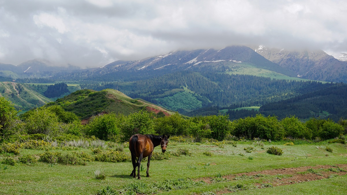 Kyrgyzstan Landscape