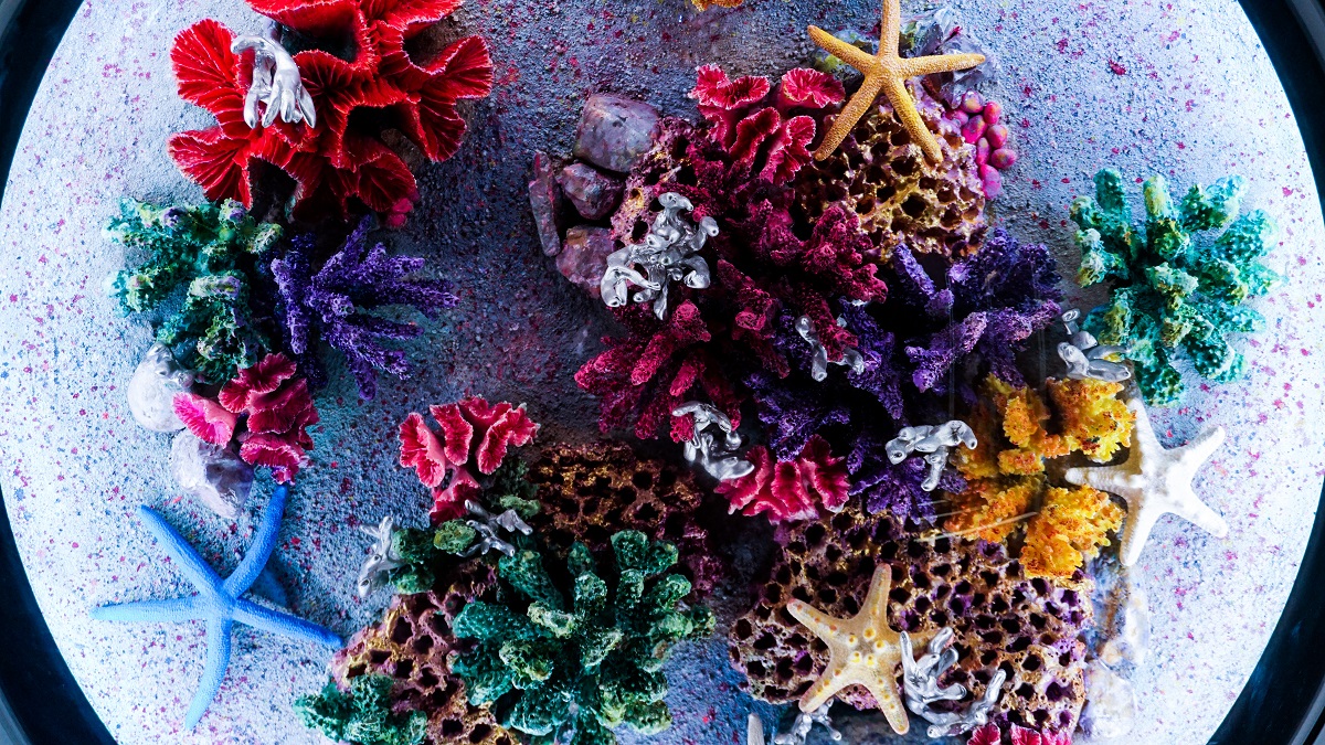 Geoscope Closer Look - Corals2