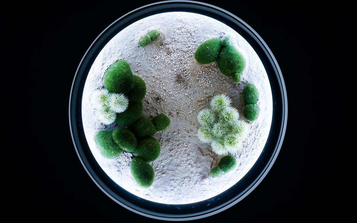 Geoscope Closer Look