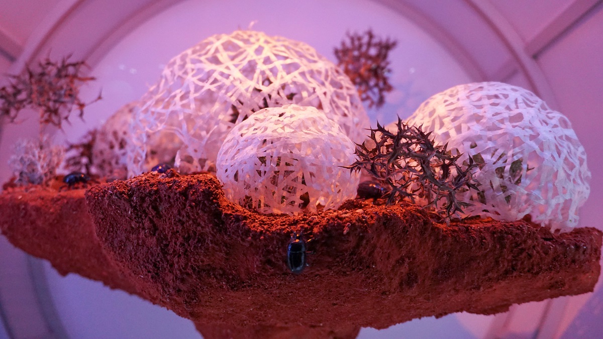 Geoscope Closer Look2