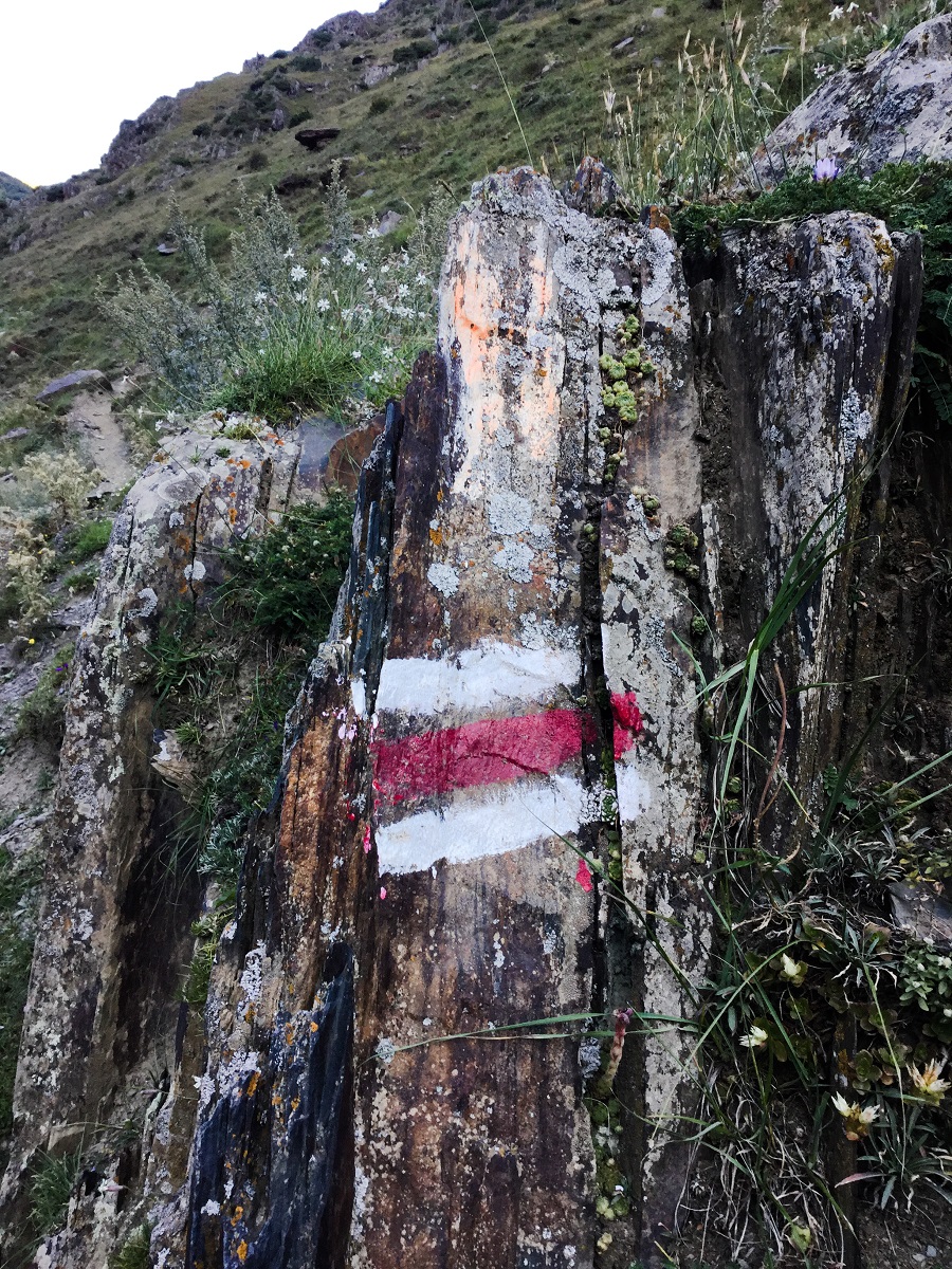 Hiking Trail Signs in Gergeti