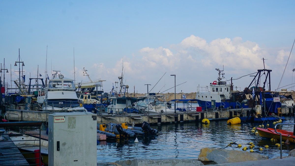 Jaffa Port during the Old Jaffa Walking Tour 