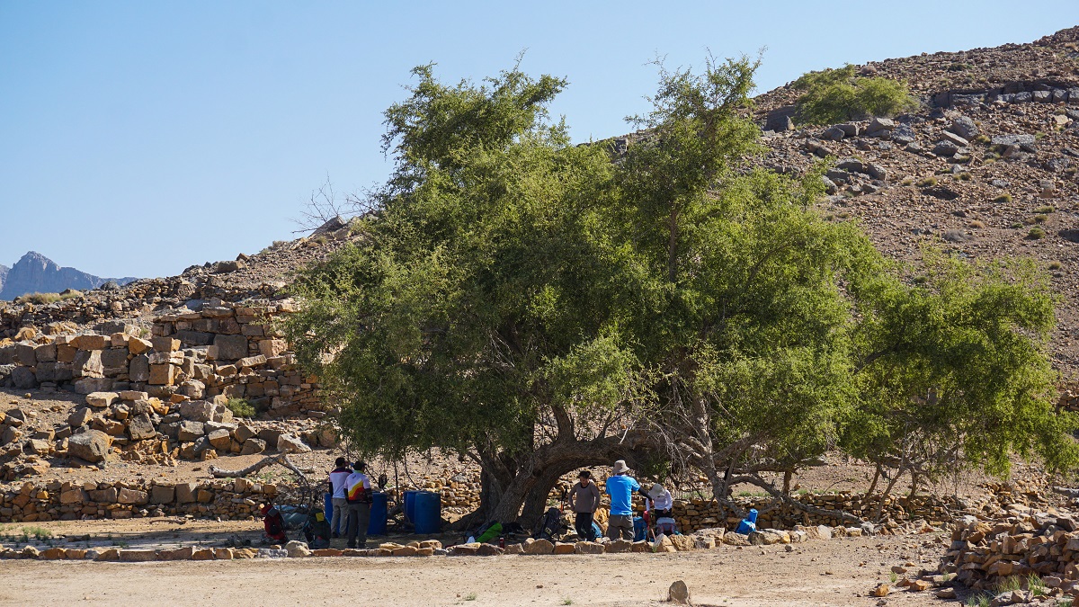 Wadi Al Far Camp Site
