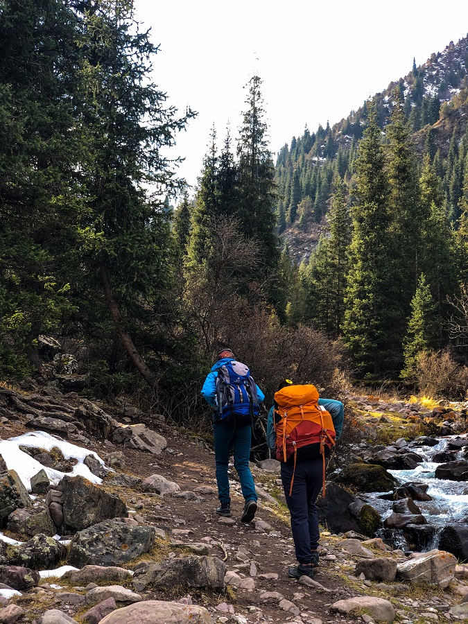 Coniferous Woods at Kol Tor Lake Trail