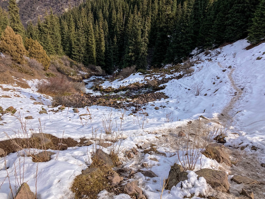 River Source flowing out from the ground