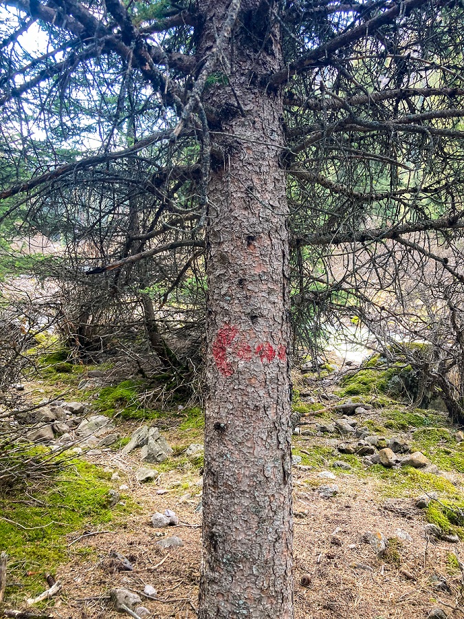 Trail Sign at Kol Tor Lake