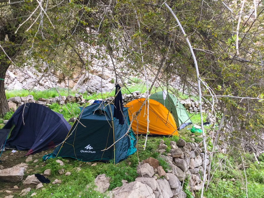 Tent pitched in a campsite in Ras Al Khaimah, United Arab Emirates