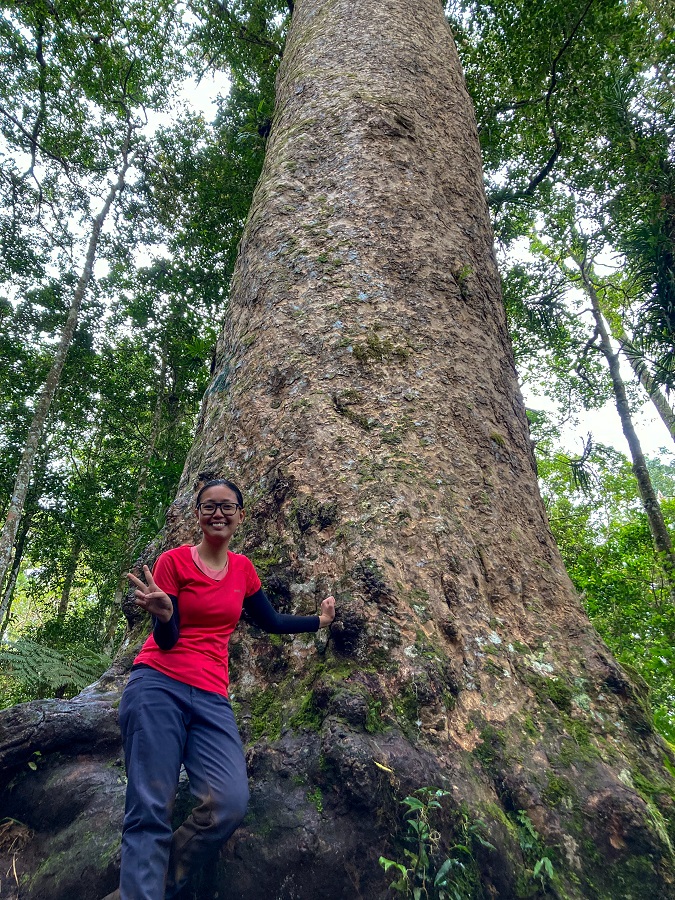 Solo photo with the famous Century Tree of Mount Apo 