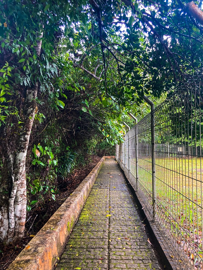 Hiking Trail next to Reservoir in Tasek Lama Recreational Park in Brunei 