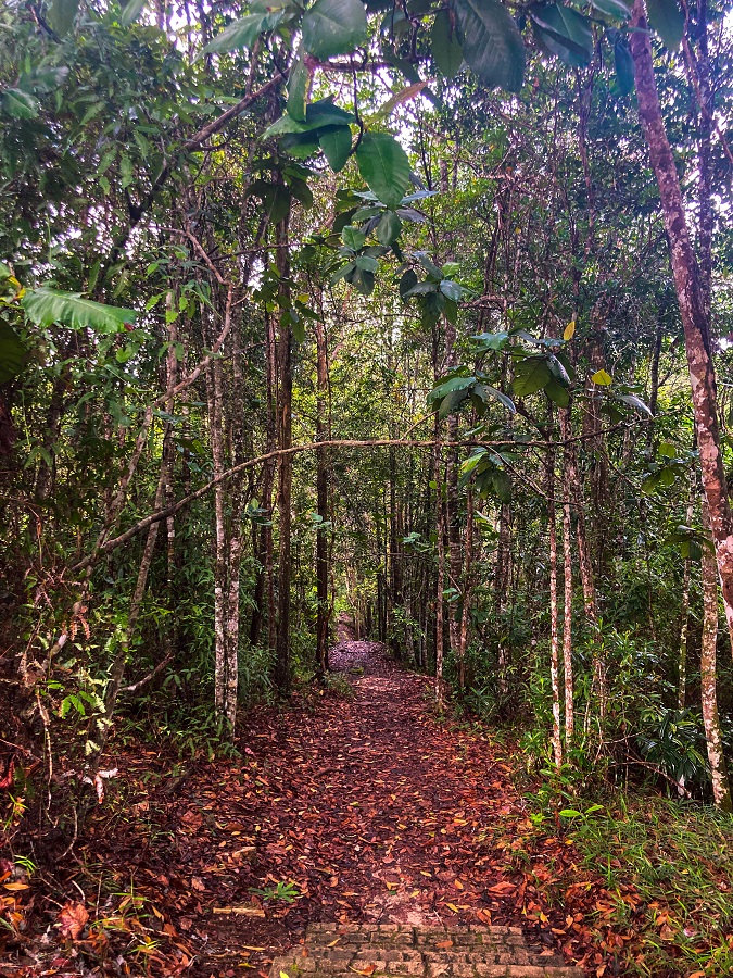 Hiking trail found in Tasek Lama Recreational Park