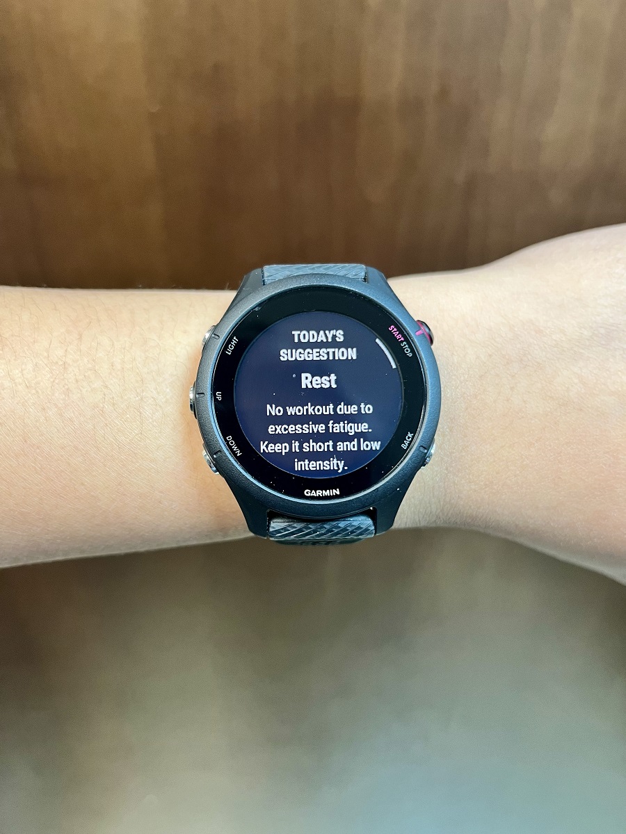 Today's Suggestion Notification