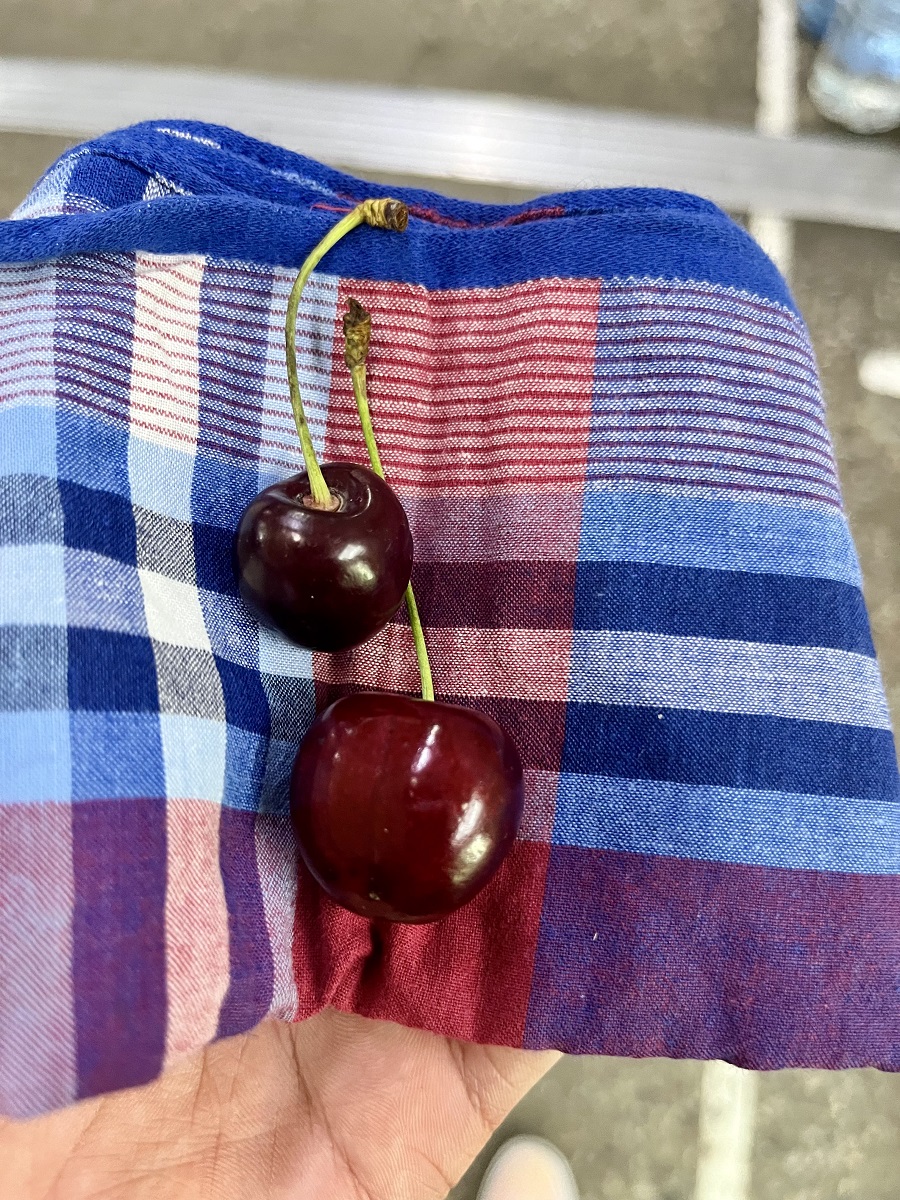 Receiving cherries from locals in Kazakhstan as a solo traveler 