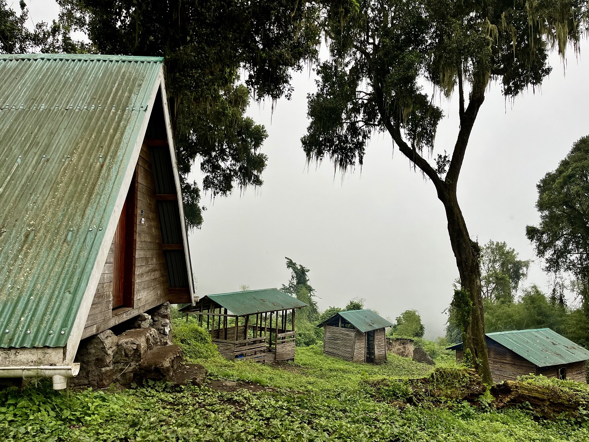Campground in Bushiyi Trail of Mount Elgon National Park courtesy to UWA (Uganda Wildlife Authority)