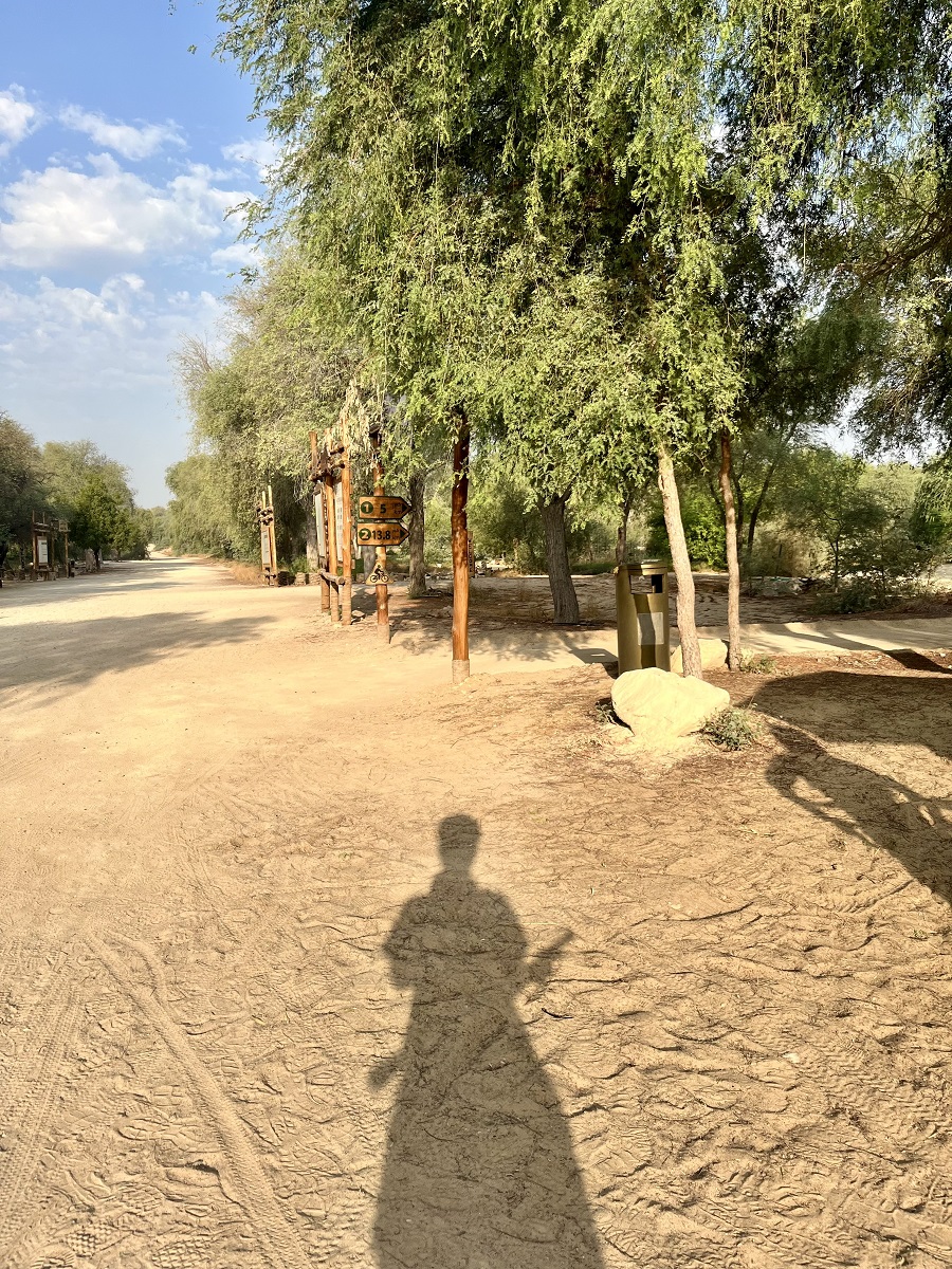 Green Biking Trail in Mushrif Park