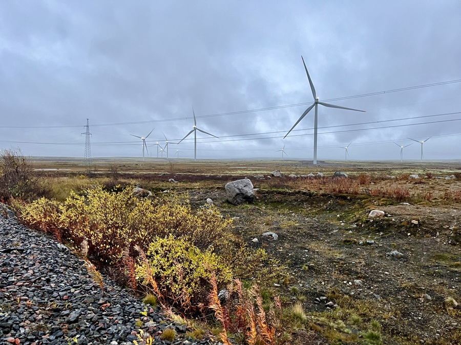 Northern Tundra and the Wind Turbines on the way to Teriberka Village in Murmansk Oblast in Russia