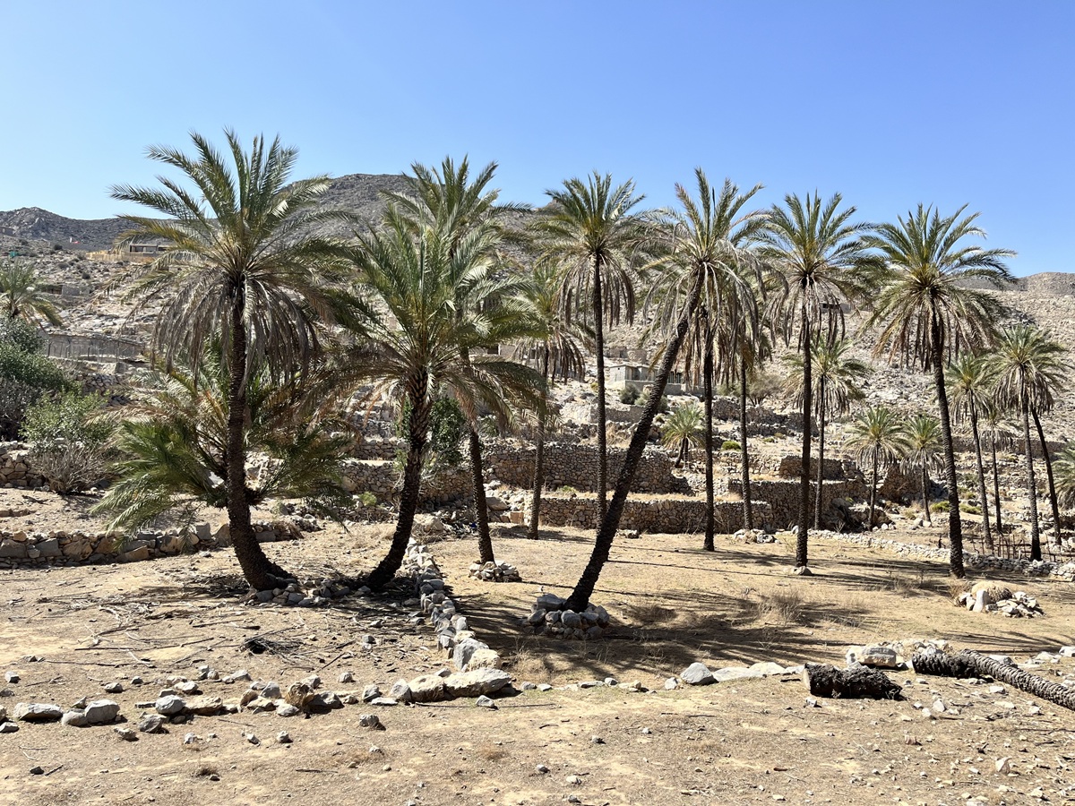 Mountain Village in Ras Al Khaimah
