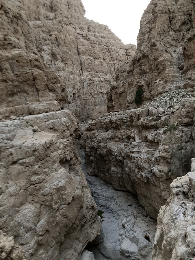 Wadi Kub in Wadi Naqab, Ras Al Khaimah, UAE 