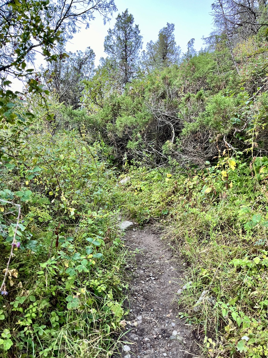 Left Trail at Panorama Section