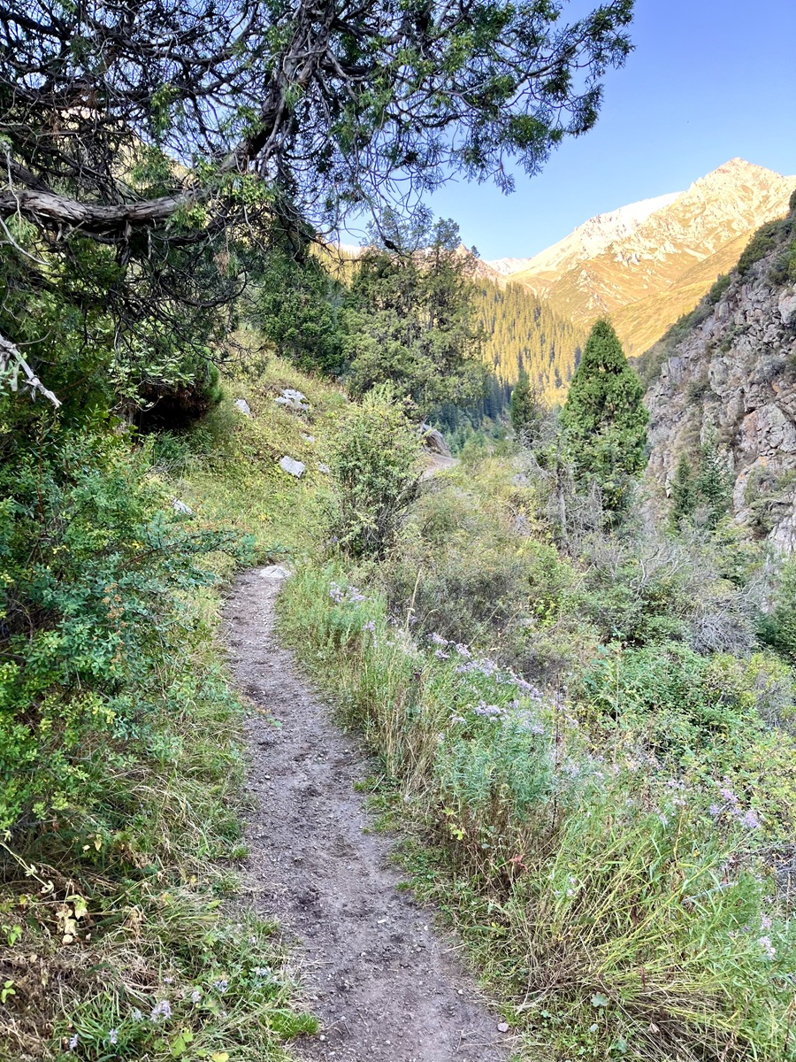 Right Trail at Panorama Section 