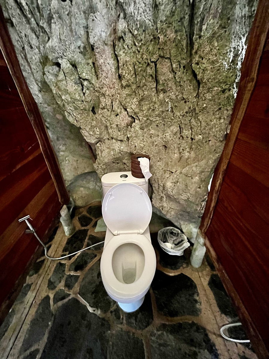 Fully functional toilet with bidet