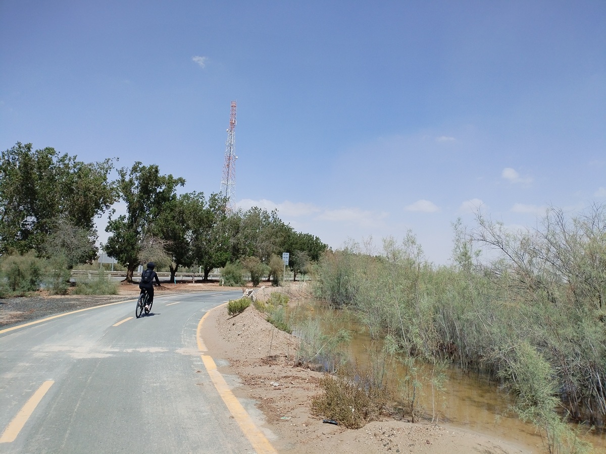 Cycling in Blue Route of Al Qudra Cycling Track