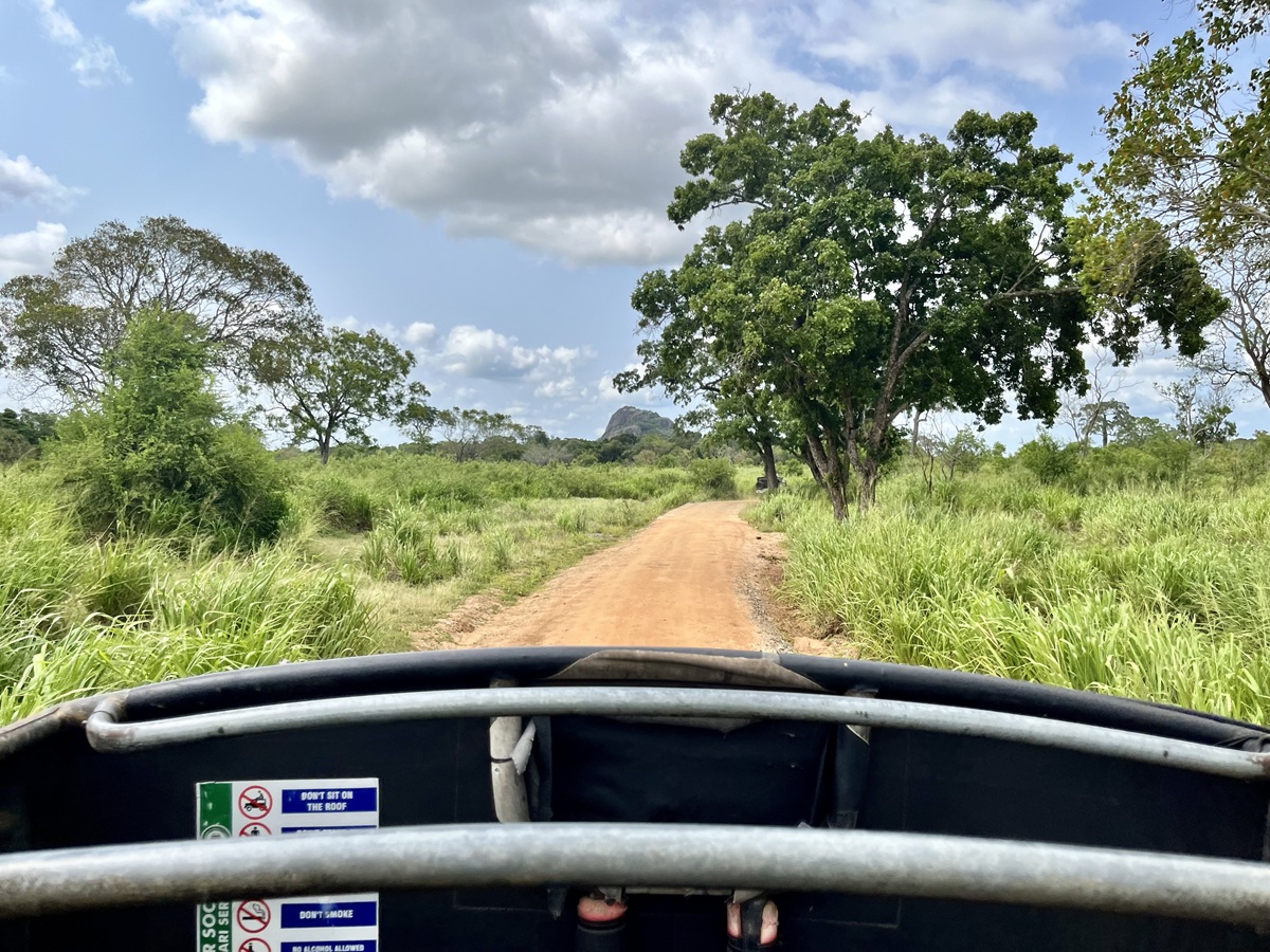 Elephant Jeep Safari in Hurulu Eco Park
