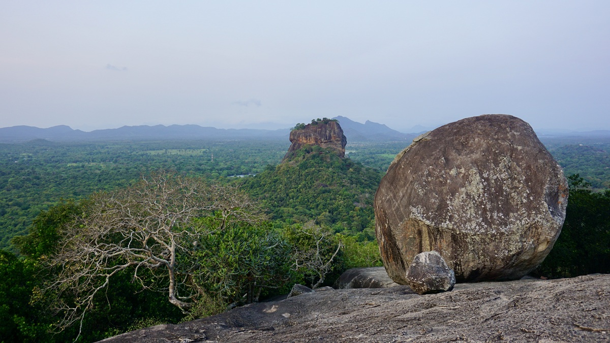 Sigiriya Lion Rock as seen from Pidurangala Rock during hike