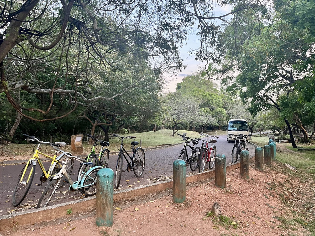 Parked bicycles around Polonnaruwa - One of the best ways to get around the ancient city!