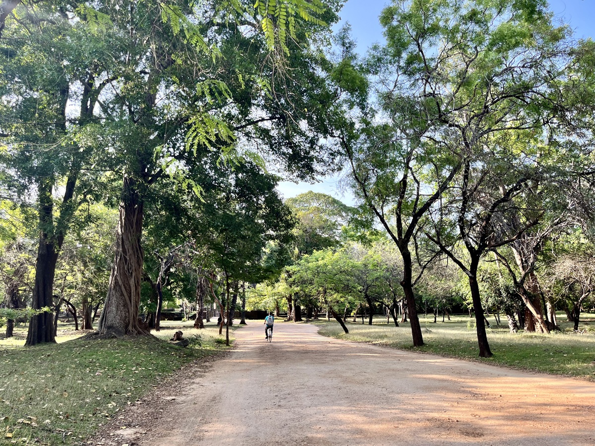 Cycling around the Ancient City of Polonnaruwa